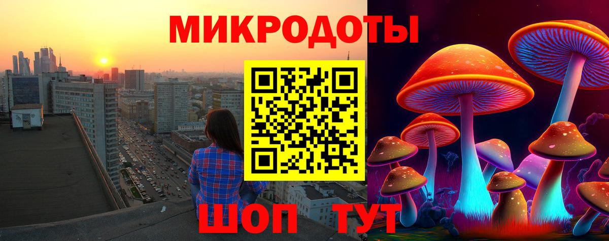 Псилоцибиновые грибы Psilocybine cubensis Чернушка