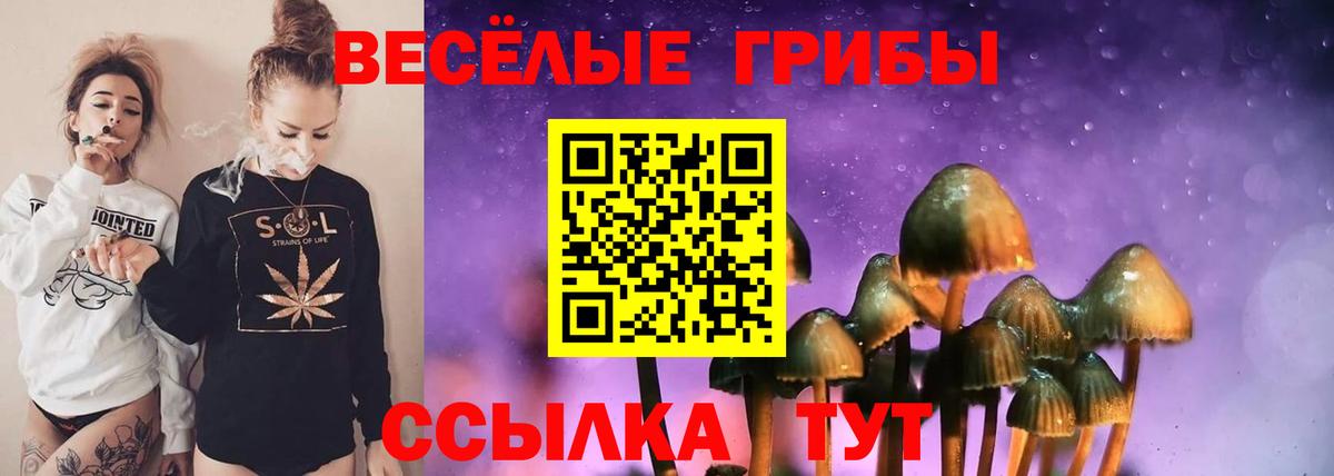 Галлюциногенные грибы мухоморы  Вход с VPN  Чернушка 